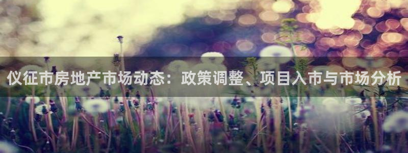 新宝5娱乐如：仪征市房地产市场动态：政策调整、项目入市与市场