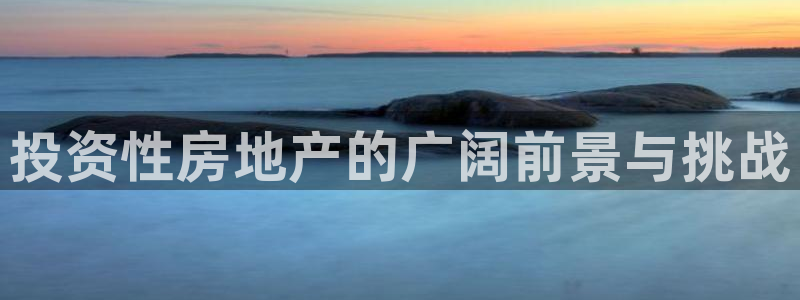 新宝5后：投资性房地产的广阔前景与挑战