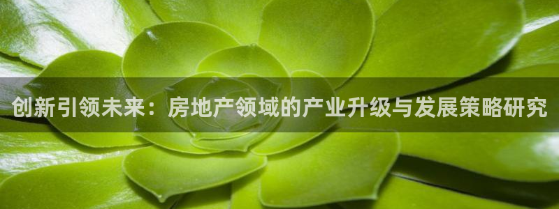 新宝5下载：创新引领未来：房地产领域的产业升级与发展策略研究