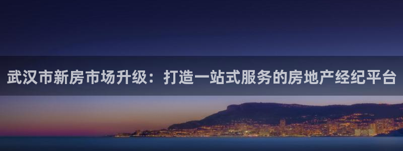 新宝新5：武汉市新房市场升级：打造一站式服务的房地产经纪平台