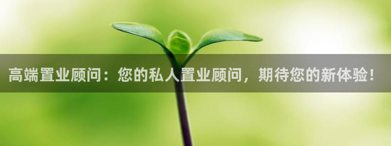 新宝5登录不了：高端置业顾问：您的私人置业顾问，期待您的新体