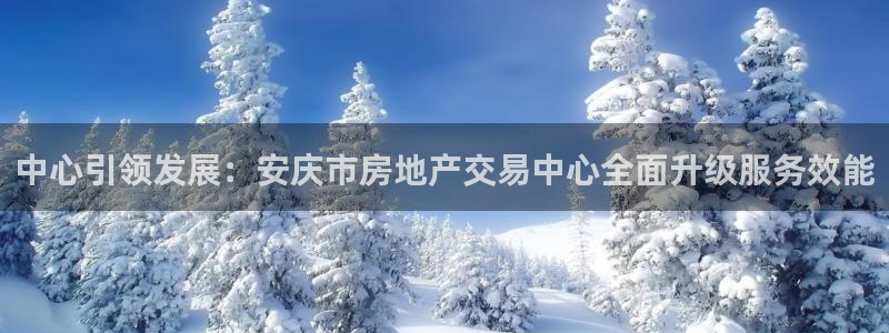 新宝5卫74OOO5：中心引领发展：安庆市房地产交易中心全面