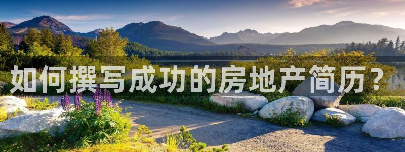 新宝5测速：如何撰写成功的房地产简历？