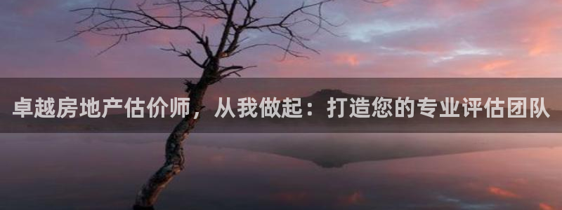 新宝5上来77542：卓越房地产估价师，从我做起：打造您的专