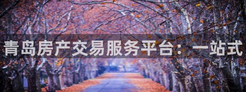 新宝5口67五壹叁八：青岛房产交易服务平台：一站式