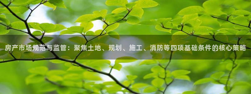 新宝5下载注册：房产市场规范与监管：聚焦土地、规划、施工、消