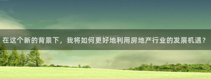 新宝5娱乐登录：在这个新的背景下，我将如何更好地利用房地产行