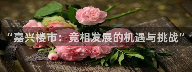 新宝5测登录：“嘉兴楼市：竞相发展的机遇与挑战”