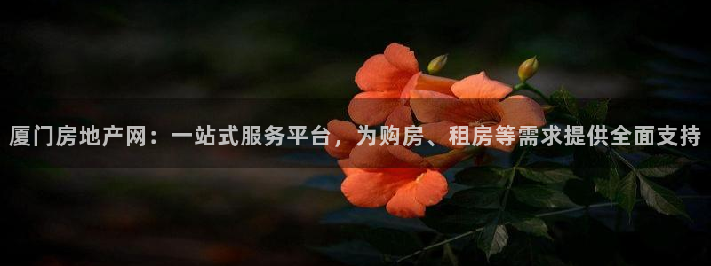 新宝5首页：厦门房地产网：一站式服务平台，为购房、租房等需求