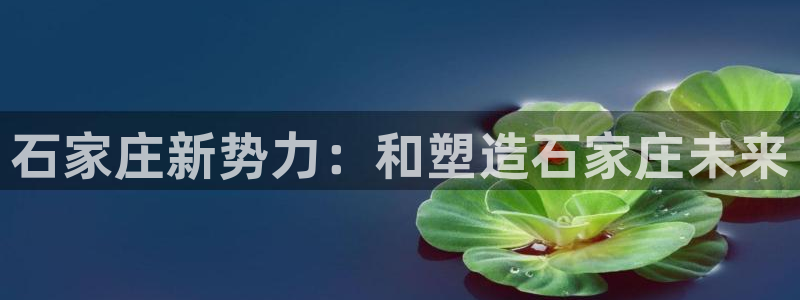 新5宝