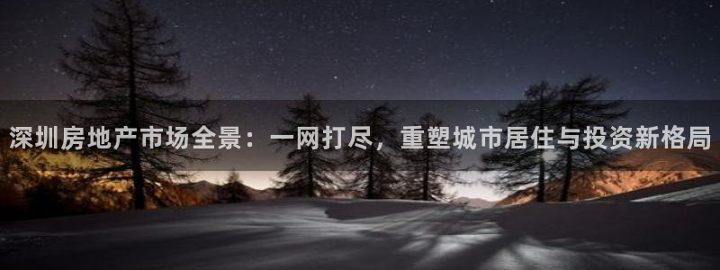 新宝5郑74OOO5：深圳房地产市场全景：一网打尽，重塑城市