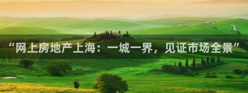 新宝5下载app：“网上房地产上海：一城一界，见证市场全景”