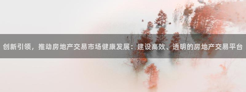 新宝5 注册：创新引领，推动房地产交易市场健康发展：建设高效