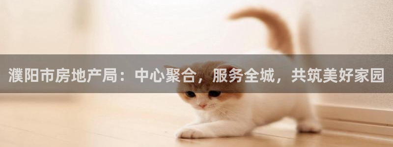 新宝5测速平台登录：濮阳市房地产局：中心聚合，服务全城，共筑