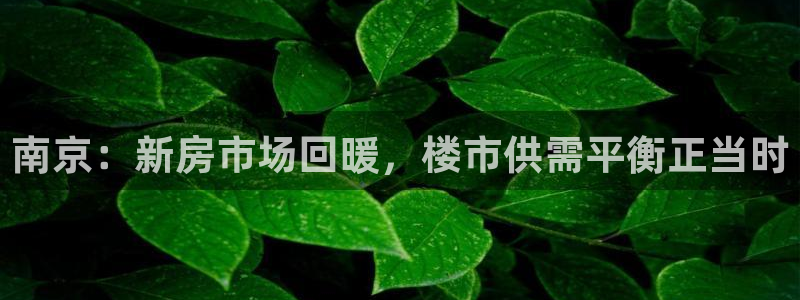 新宝5注册流程：南京：新房市场回暖，楼市供需平衡正当时