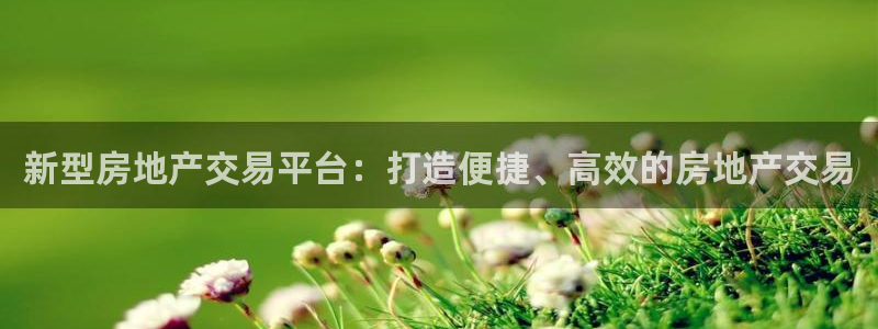 新宝5测速在线：新型房地产交易平台：打造便捷、高效的房地产交