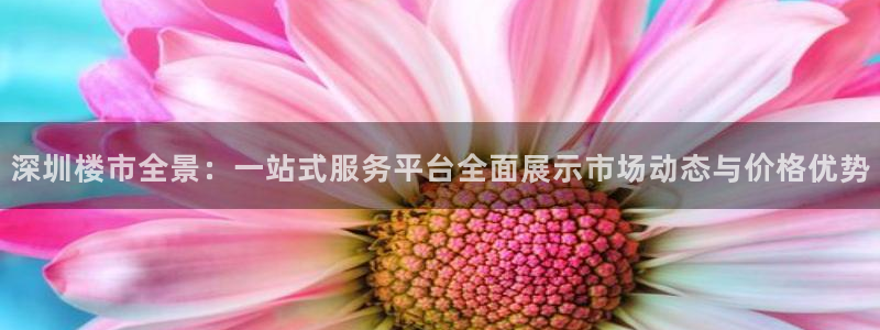 新宝5直属：深圳楼市全景：一站式服务平台全面展示市场动态与价