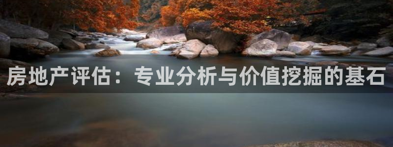 新宝股东瞧听2 5 5：房地产评估：专业分析与价值挖掘的基石