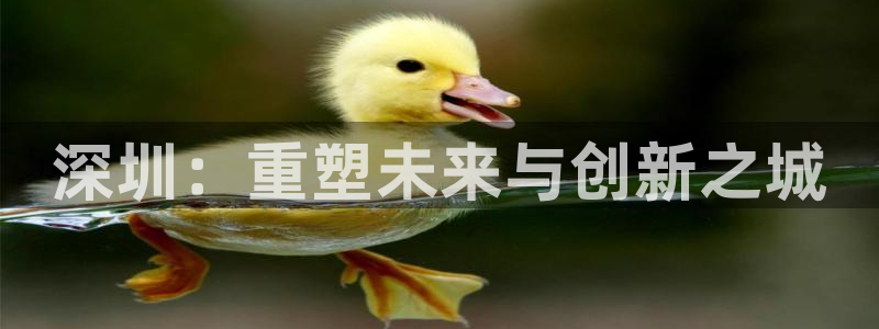 新宝5 注册：深圳：重塑未来与创新之城