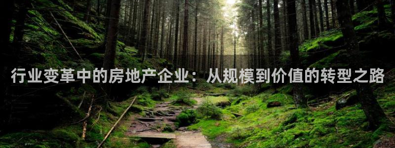 新宝5账号注册：行业变革中的房地产企业：从规模到价值的转型之
