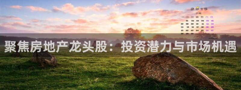 新宝5源码：聚焦房地产龙头股：投资潜力与市场机遇