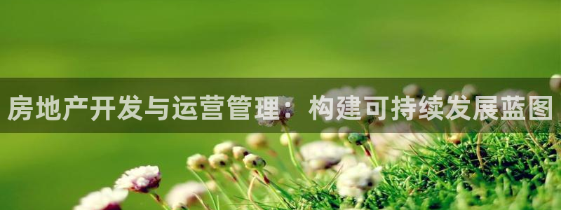 新宝5月：房地产开发与运营管理：构建可持续发展蓝图