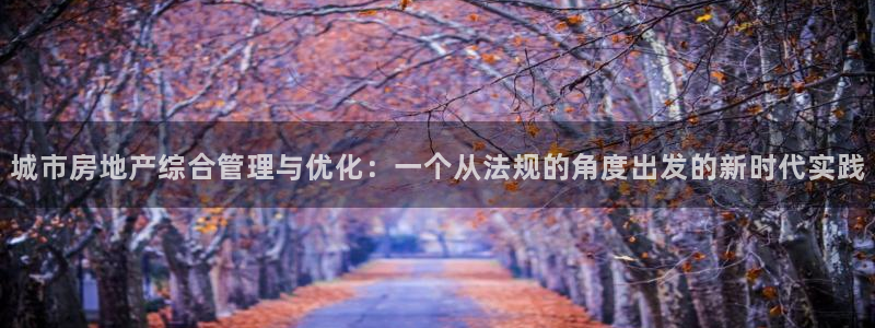 新宝5招商部：城市房地产综合管理与优化：一个从法规的角度出发