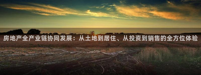 i新宝5：房地产全产业链协同发展：从土地到居住、从投资到销售