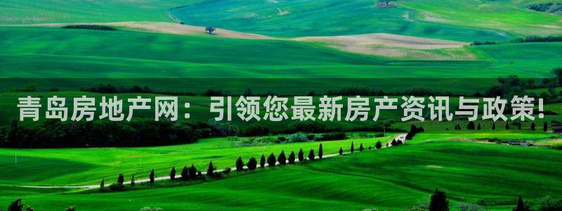 老新宝5授权登录：青岛房地产网：引领您最新房产资讯与政策!