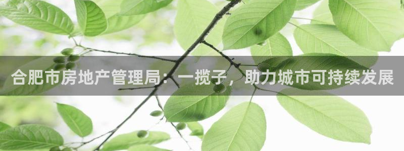 新宝5周74OOO5：合肥市房地产管理局：一揽子，助力城市可