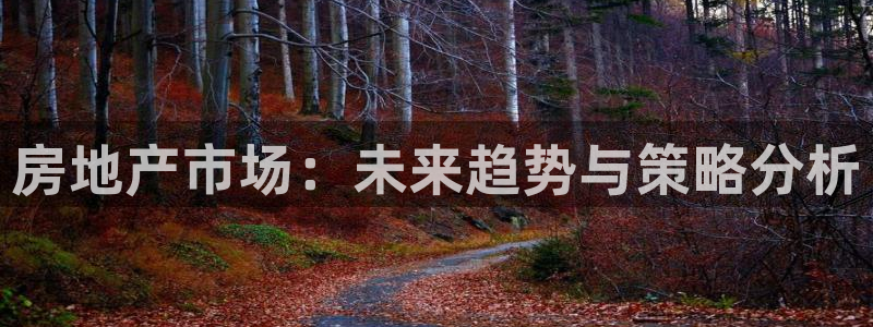 新宝5五：房地产市场：未来趋势与策略分析