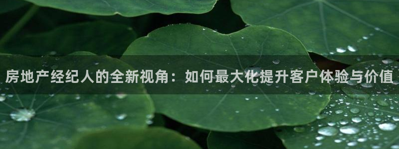 新宝5源码：房地产经纪人的全新视角：如何最大化提升客户体验与