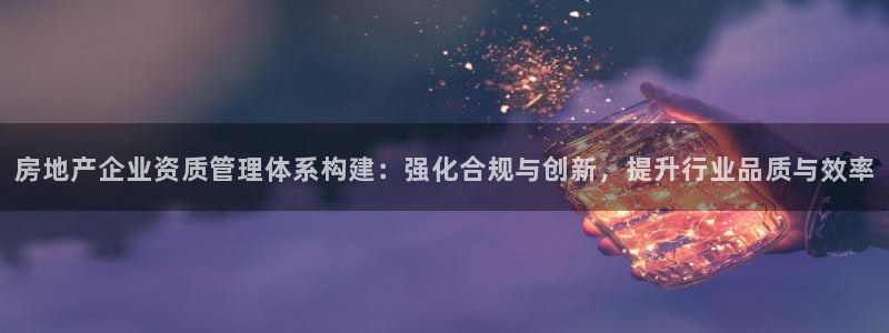 新宝h2O5O5O：房地产企业资质管理体系构建：强化合规与创