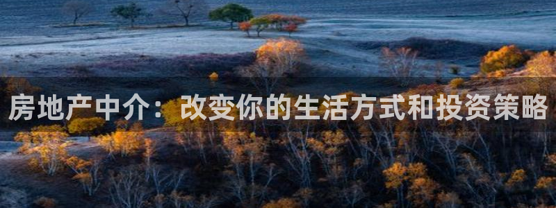 新宝5娱乐代理：房地产中介：改变你的生活方式和投资策略