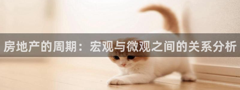 新宝m2O5O5O：房地产的周期：宏观与微观之间的关系分析