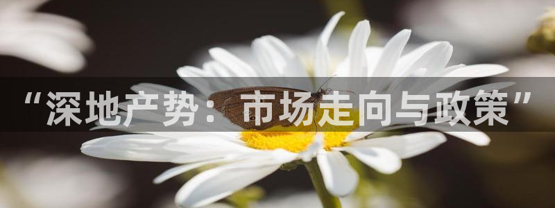新宝5玩法：“深地产势：市场走向与政策”