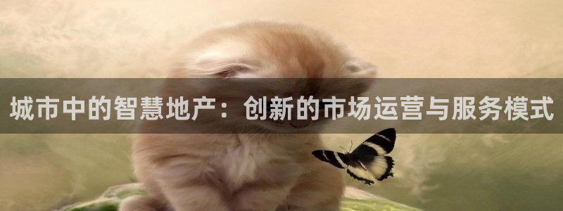 新宝5平台登录注册：城市中的智慧地产：创新的市场运营与服务模