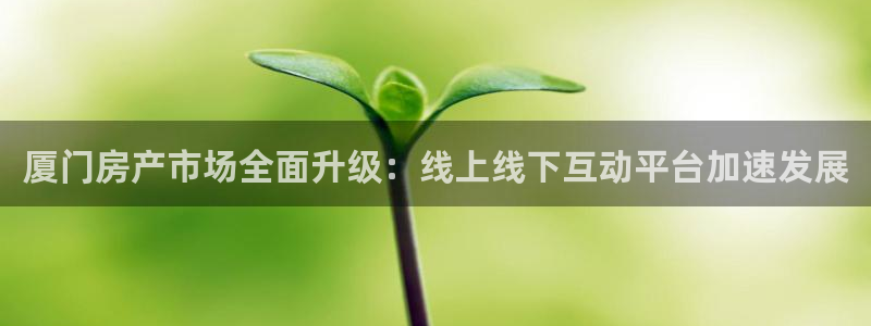 新宝 5测速：厦门房产市场全面升级：线上线下互动平台加速发展