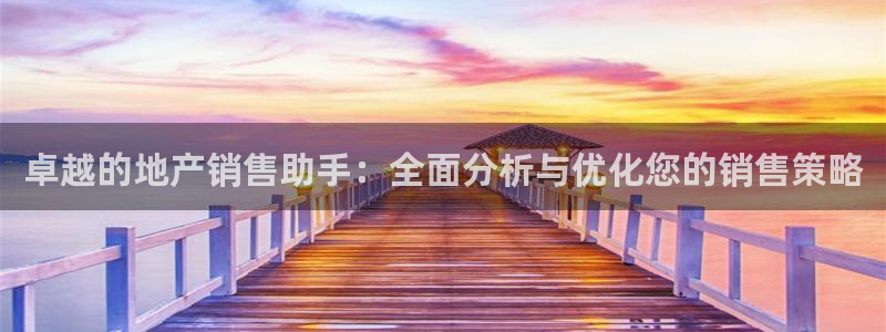 新宝5公司