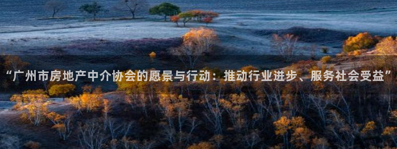 新宝5_测：“广州市房地产中介协会的愿景与行动：推动行业进步