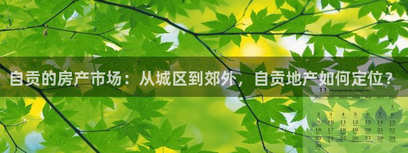 新宝5浗维33 300：自贡的房产市场：从城区到郊外，自贡地