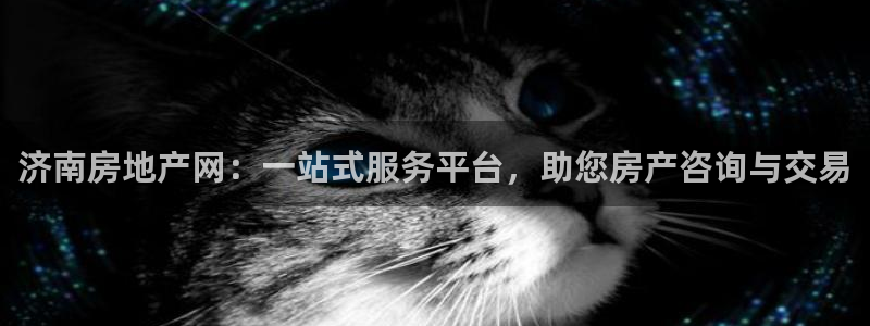 新宝5彩票娱乐平台：济南房地产网：一站式服务平台，助您房产咨