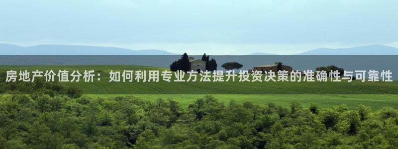 新宝5挂机：房地产价值分析：如何利用专业方法提升投资决策的准