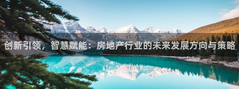 新宝5线路：创新引领，智慧赋能：房地产行业的未来发展方向与策