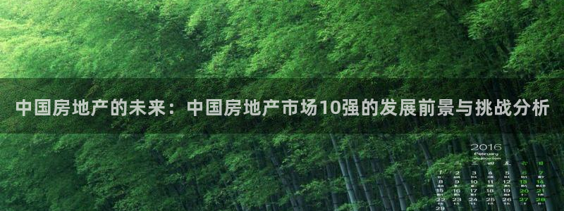 新宝5平台：中国房地产的未来：中国房地产市场10强的发展前景