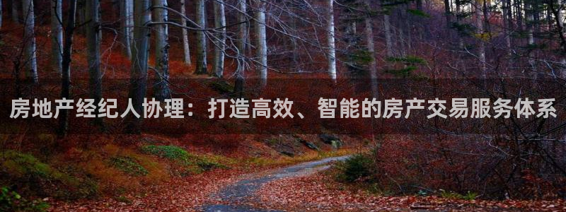 新宝5测速登陆：房地产经纪人协理：打造高效、智能的房产交易服
