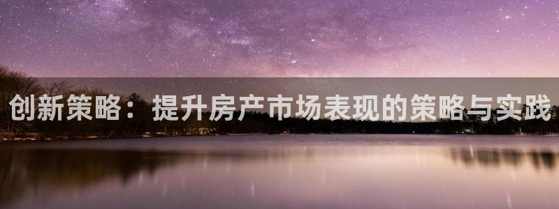 新宝股东张听2 5 5：创新策略：提升房产市场表现的策略与实