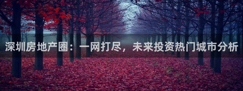 新宝5地址：深圳房地产圈：一网打尽，未来投资热门城市分析