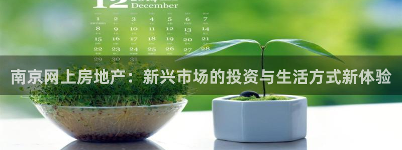 新宝5X：南京网上房地产：新兴市场的投资与生活方式新体验