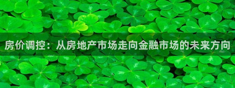 新宝5找找74OOO5：房价调控：从房地产市场走向金融市场的